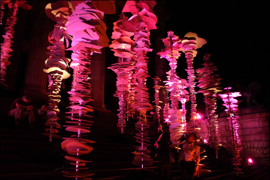 Lichtdesign von Fred Pommerehn für den WWF auf DieReferenz.de