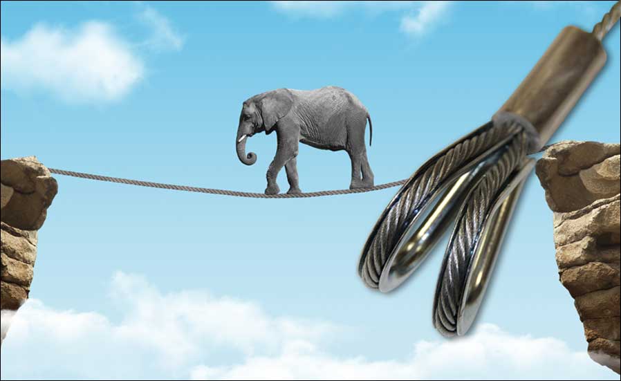 Der Elefant merkt den Unterschied: Dieses Seil hält!