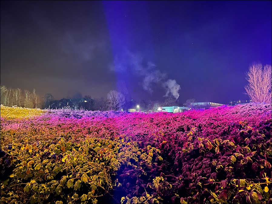 Beim Südlichter-Winterfestival feierten die neuen GLP-Scheinwerfer von HTFmediserv ihre Premiere (Foto: Thomas Füllengraben)