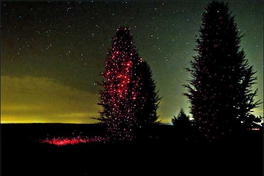 Laserworld Garden Serie: Nächtlicher Zauber garantiert